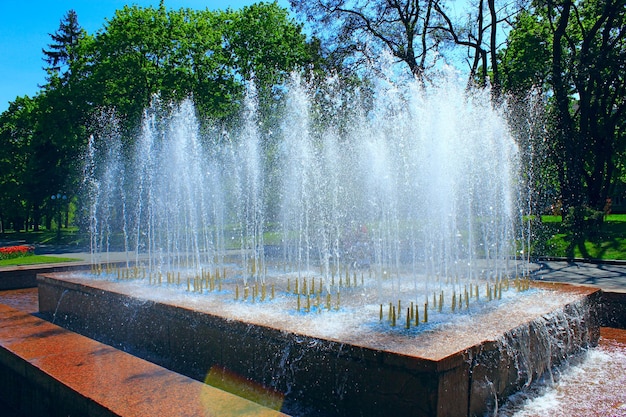 Fuentes en el parque de la ciudad