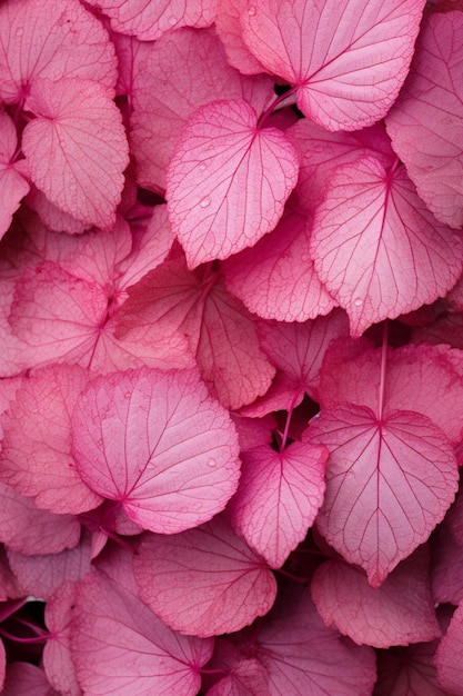 Foto für das rosa blattmuster verliebt