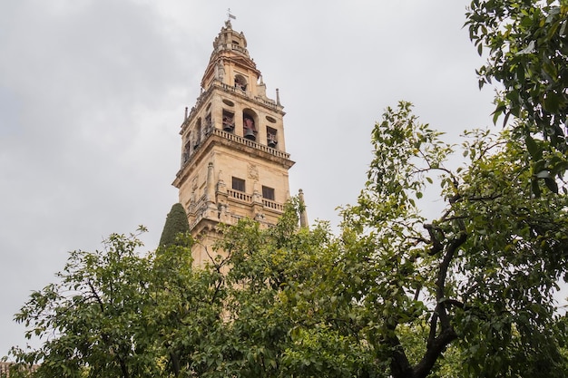 Fuera de la Mezquita Catedral de Córdoba España