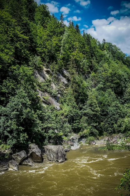 Fuerte flujo y ebullición del agua en el río de montaña con salpicaduras Corriente rápida en los Cárpatos Ucrania Piedras en un río de montaña Fondo natural de agua Primer plano