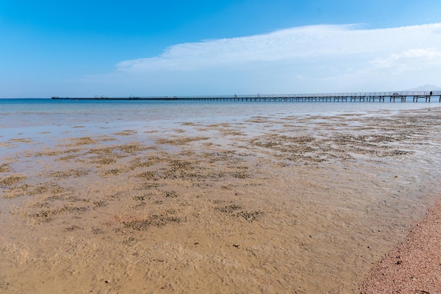 Fuerte marea baja en el Mar Rojo El agua se ha ido lejos de la orilla suave entrada al mar