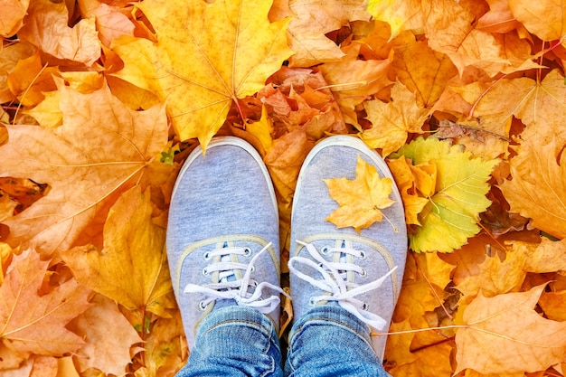 Füße auf dem Hintergrund der Blätter im Herbst auf dem Hintergrund des Sommers