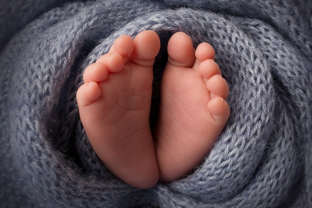 Füße eines Neugeborenen, eine weiche Strickdecke in grauweißer Farbe, Zehen und Fersen eines Neugeborenen, Schwarzweiß-Studiofotografie. Foto in hoher Qualität