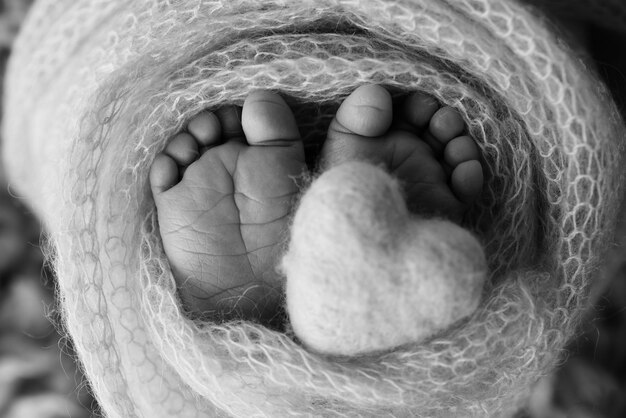Foto füße eines neugeborenen in einer wolldecke schwarz-weiß-fotografie