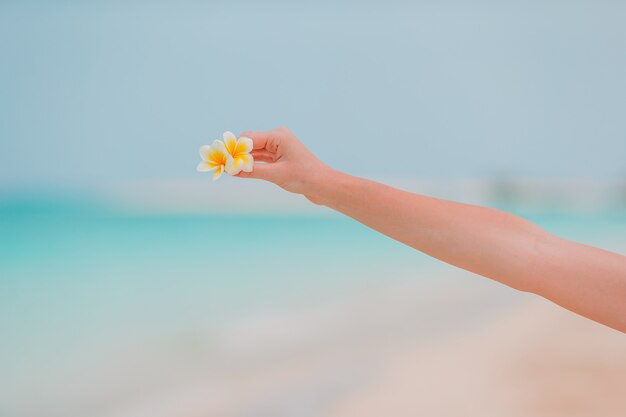 Füße im blauen Pool mit tropischer Blume