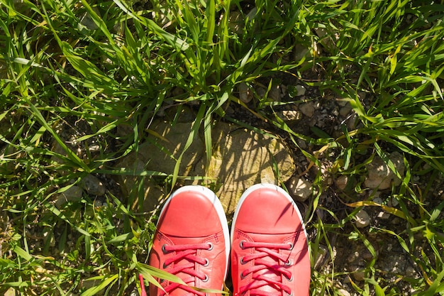 Füße in rosa Turnschuhen auf grünem Gras