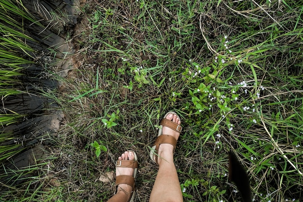 Füße mit Sandle gehend über grüne Rasenfläche