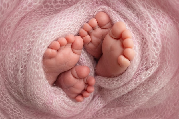 Füße von neugeborenen Zwillingen. Zwei Paar Babyfüße in einer rosa Strickdecke. Nahaufnahme von Zehen, Fersen und Füßen eines Neugeborenen. Der winzige Fuß eines neugeborenen Brüder, Schwestern. Studio-Makrofotografie.