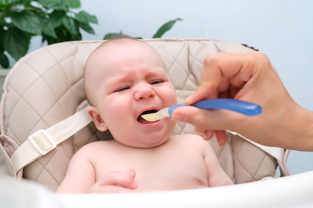 Füttern des Babys. Mama füttert das Kind mit einem Löffel Gemüsepüree. Das weinende Baby sitzt angeschnallt auf dem Hochstuhl. Das Kind will nicht essen