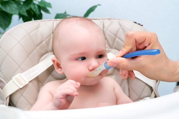 Füttern des Babys. Mama füttert das Kind mit einem Löffel Gemüsepüree. Glückliches Kind sitzt auf einem Hochstuhl festgeschnallt