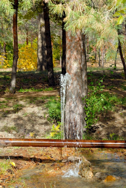 Foto fuga de agua de una grieta en una vieja tubería oxidada