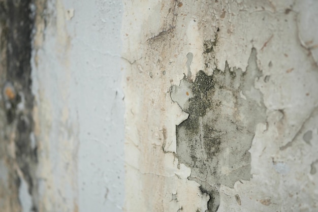 Las fugas de agua en la pared dañan la pintura