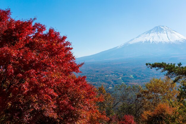 fuji y arce