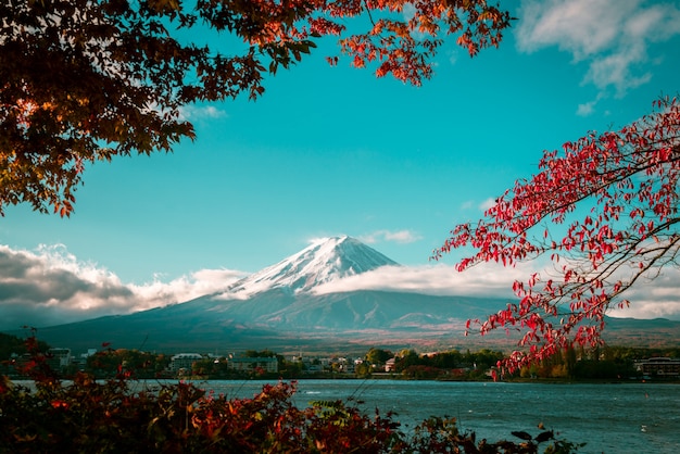 Fuji Berg im Herbst