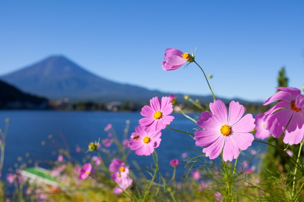 Fuji-Berg in Japan im Sommer