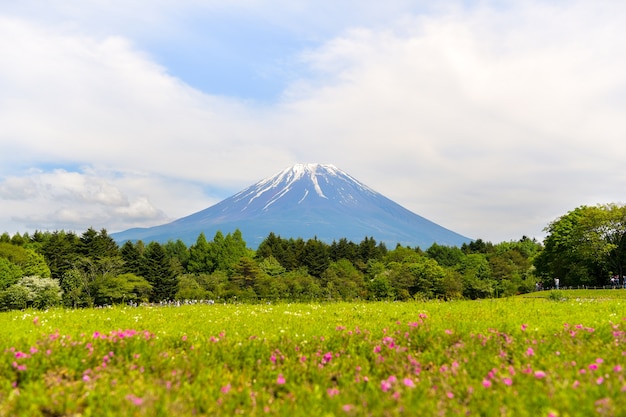 Fuji-Berg, Japan, mit blauem Himmel.