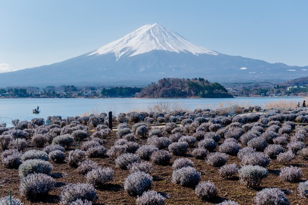 Fuji Berg und Japan See