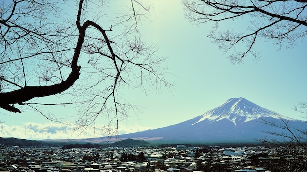 Fuji-Berg von der Seitenansicht mit Baumasten