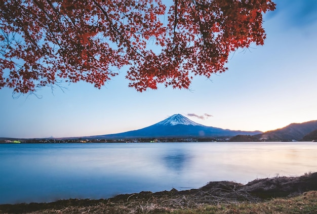 Fuji Maoutian Japão