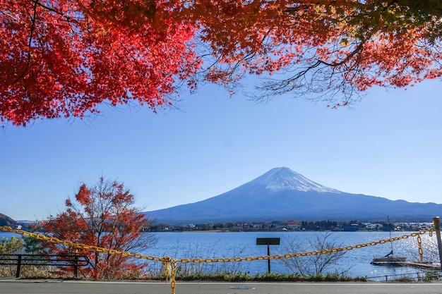 fuji mounta na temporada de outono