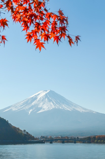 Fuji Mountain mit Momiji oder Ahornblätter im Herbst mit blauem Himmel am Lake Kawaguchiko