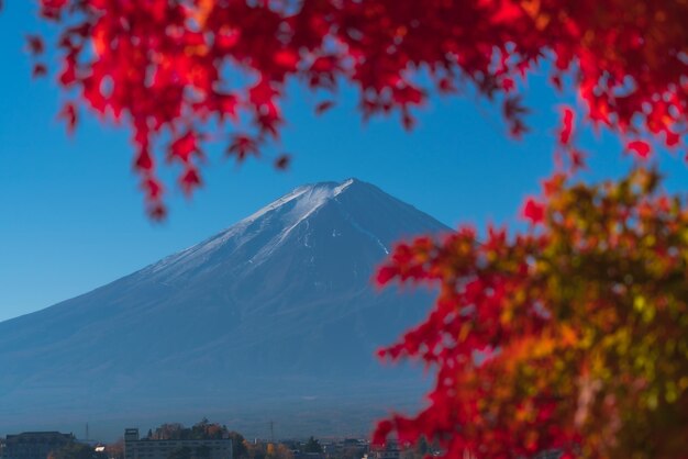 Foto fuji mountain view