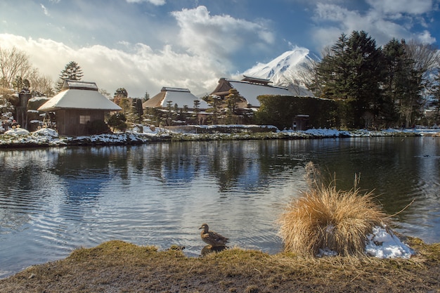 Fuji y Oshino Hakkai