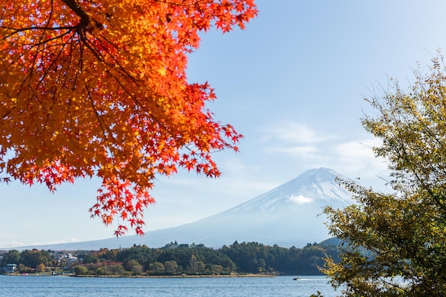 Fuji en otoño