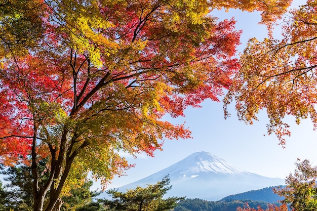 Fuji en otoño