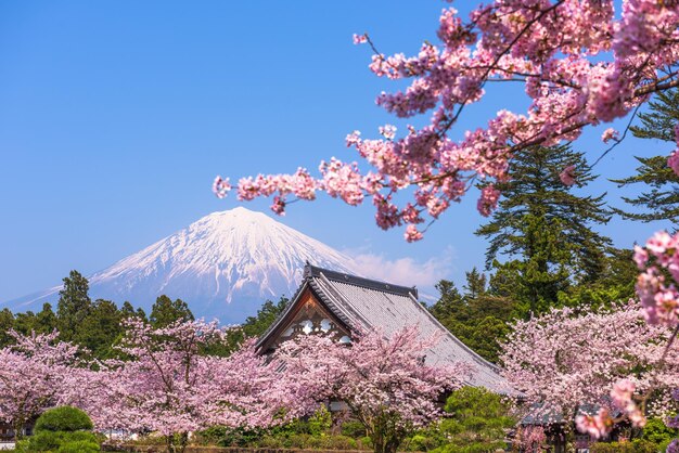 Fujinomiya Shizuoka Japan mit dem Berg Fuji