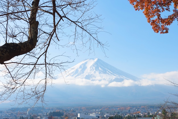 Fujisan (Fuji Berg)