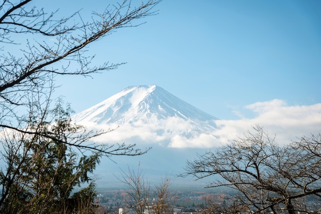 Fujisan (Fuji Berg)