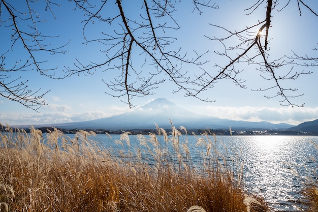 Fujisan del lago kawaguchigo