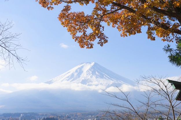 Fujisan (montaña Fuji)