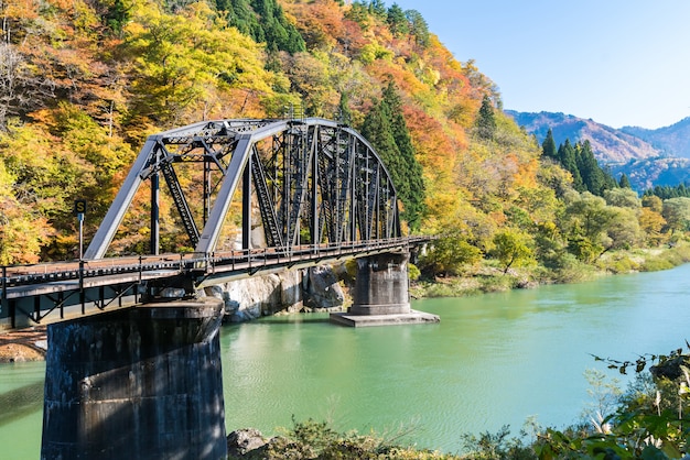 Fukushima Puente Negro Río Tadami Japón