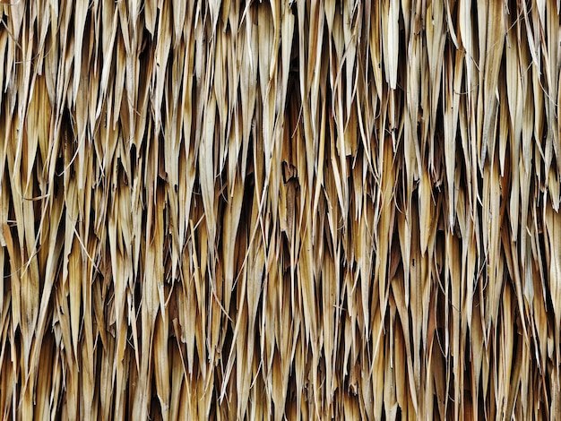 Foto full-frame-textur-hintergrund der trockenen braunen strohgedeckten schilfwand