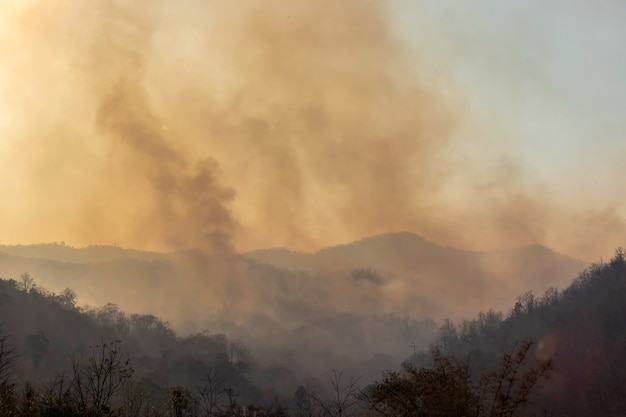 Foto fumaça de incêndio florestal no norte da tailândia.