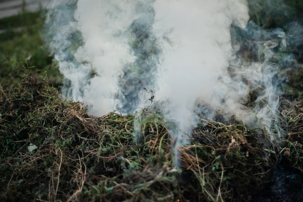 Fumaça de um incêndio na rua. Para uso como textura