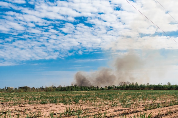 Fumaça negra de um incêndio que ocorre nos canaviais