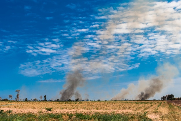 Fumaça negra de um incêndio que ocorre nos canaviais