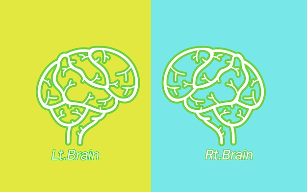 Função do cérebro esquerdo e direitoA parte criativa do conceito e parte do desenvolvimento do cérebro esquerdo e direito humano com ilustrações sociais e comerciais