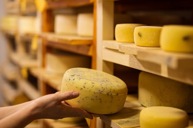 funcionários de uma fábrica privada de queijo em produção