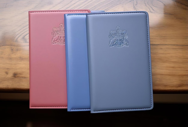 fundas para pasaportes en rosa y azul al estilo de tonos vivos