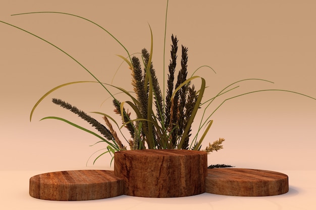 Fundo 3D bege pedestal de madeira pódio Natureza planta seca Promoção de produtos Composição de outono