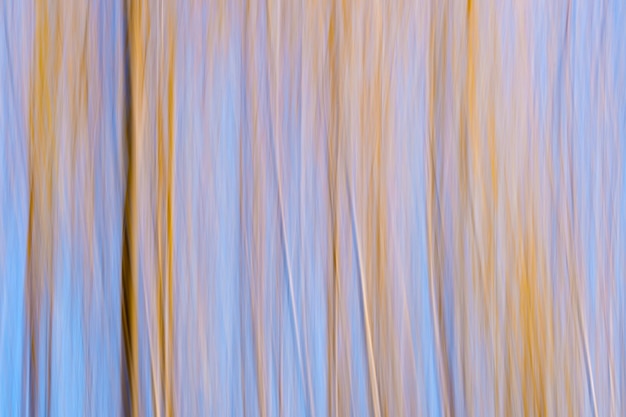 Fundo abstrato cênico da floresta textural outonal com desfoque de movimento tonificado no estilo vintage