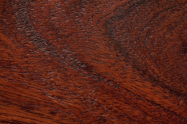 Fundo abstrato da superfície de madeira do marrom escuro. Closeup topview para obras de arte. Foto de alta qualidade