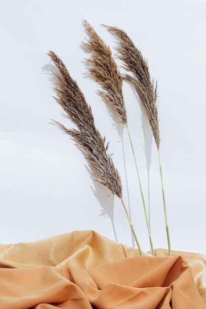 Fundo aconchegante outono inverno decoração e têxteis para brunch de outono