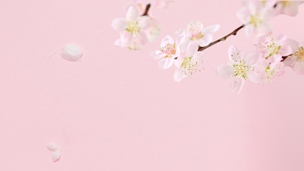 fundo aquarela flor estilo minimalista
