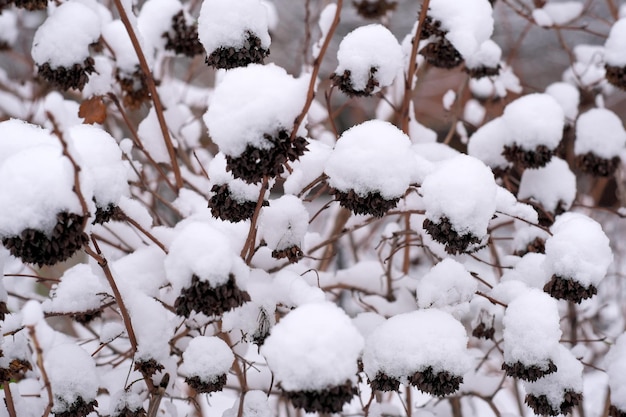 Fundo artístico de inverno