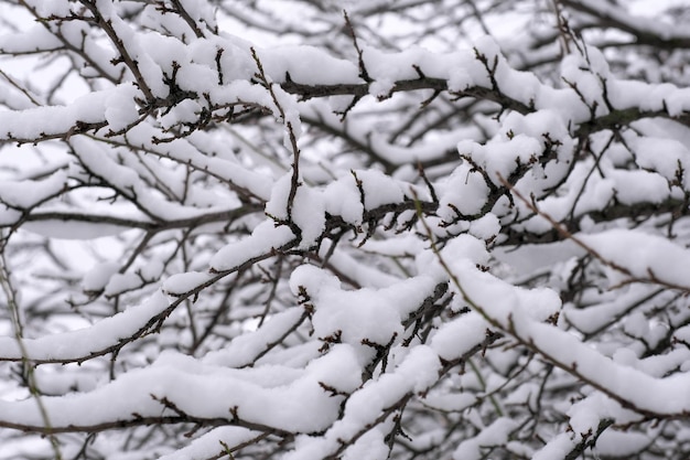 Fundo artístico de inverno